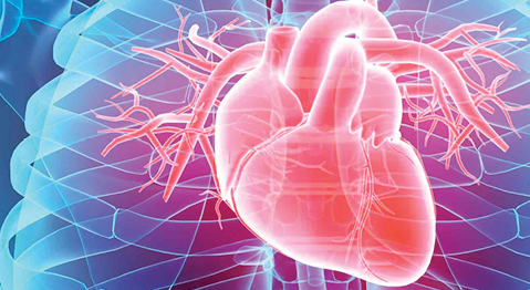 Patient Education Resource on Cardiovascular Disease 2
